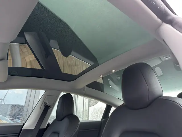 Tesla Model 3 Long Range AWD 75 kWh 2019 Elektrisch 10