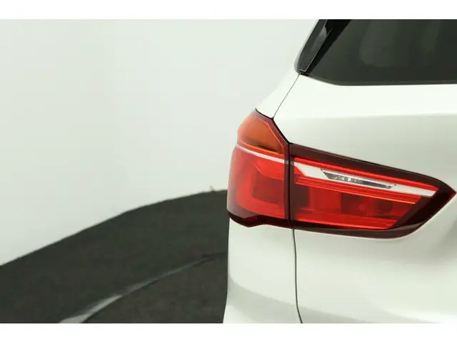 BMW X1 sDrive20i Centennial High Executive 2017 Benzine 31