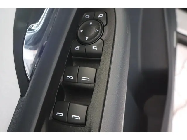Opel Ampera-e Business executive 60 kWh 2020 Elektrisch 21