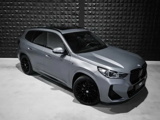 BMW X1 xDrive30e 2023 Hybride Benzine 42