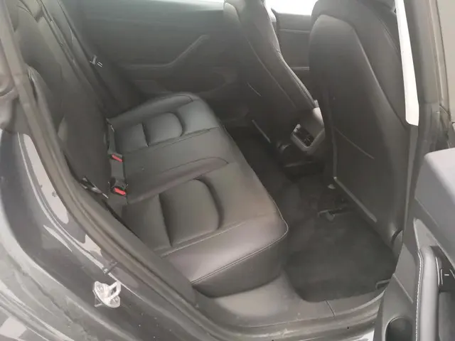 Tesla Model 3 Standard RWD Plus 60 kWh 2020 Elektrisch 4