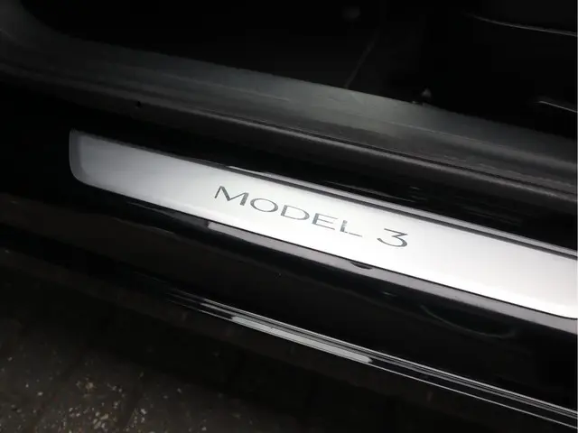 Tesla Model 3 Standard RWD Plus 60 kWh 2020 Elektrisch 19