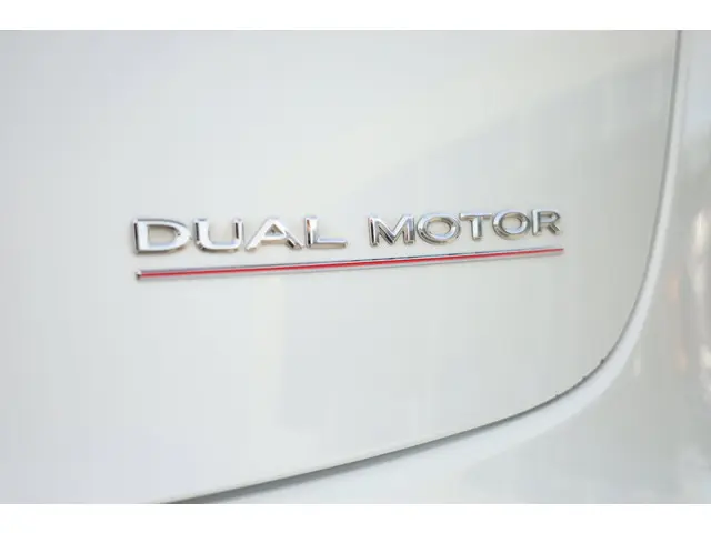 Tesla Model 3 Performance AWD 75 kWh 2019 Elektrisch 16