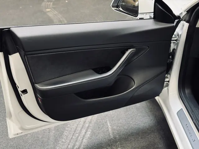 Tesla Model 3 Performance AWD 75 kWh 2019 Elektrisch 14