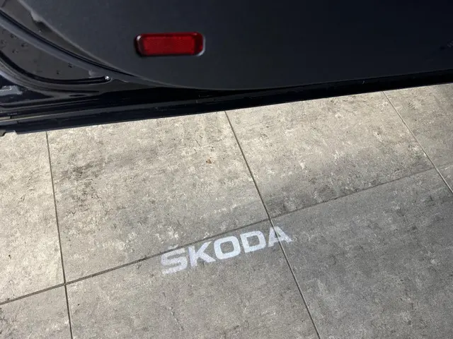 Škoda Kodiaq 1.5 TSI Business Edition 2022 Benzine 12