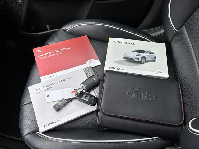 Kia e-Niro ExecutiveLine 64 kWh 2020 Elektrisch 16