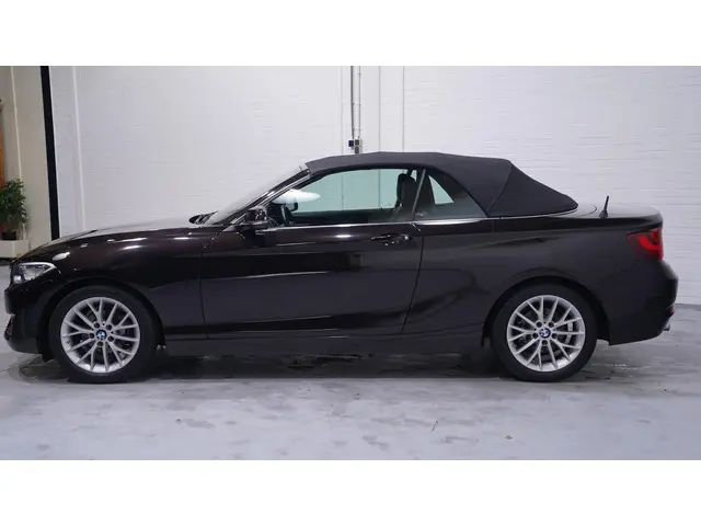 BMW 2 Serie Cabrio 218i Luxury 2016 Benzine 4