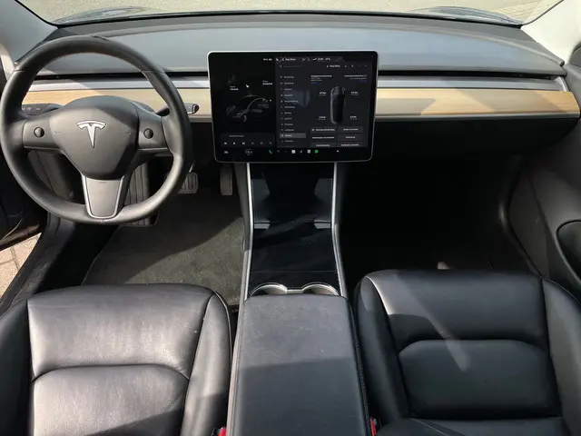 Tesla Model 3 Standard RWD Plus 60 kWh 2019 Elektrisch 8