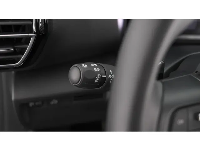 Citroën C4 X PureTech 130 EAT8 Plus 2023 Benzine 30