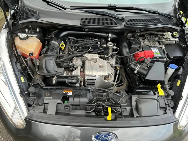 Ford Fiesta RS uitvoering 2017 Benzine 15