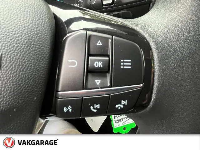 Ford Fiesta 1.1 Trend Bovag rijklaarprijs !! 2017 Benzine 13