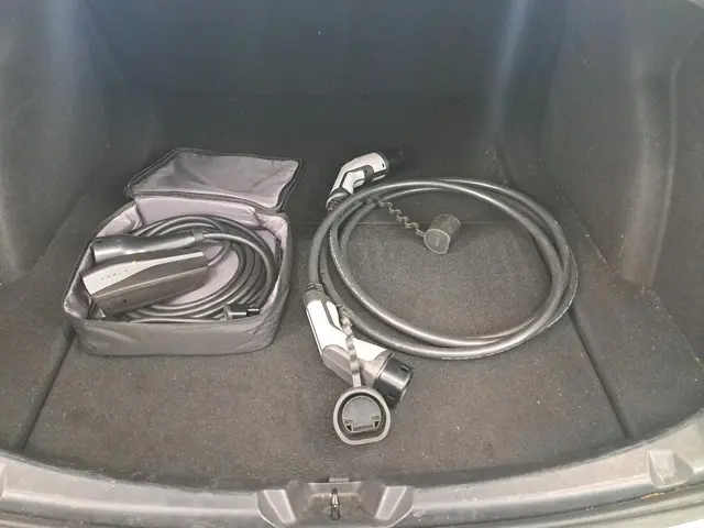 Tesla Model 3 Standard RWD Plus 60 kWh 2020 Elektrisch 13