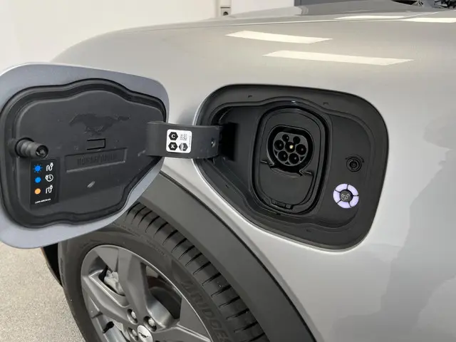 Ford Mustang Mach-E RWD 75 kWh 2021 Elektrisch 15