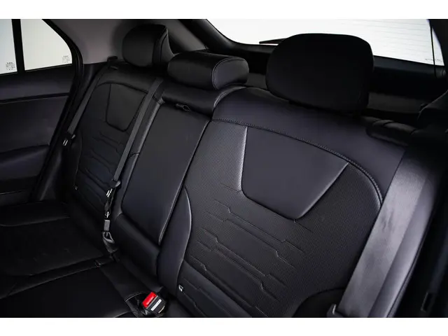 Kia Niro EV DynamicPlusLine 64.8 kWh 2023 Elektrisch 19