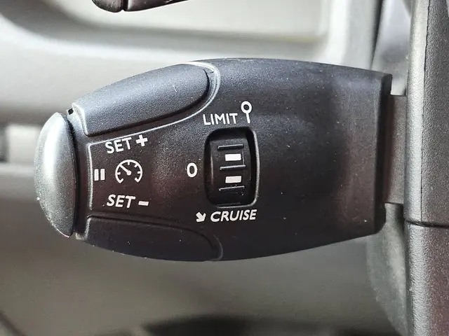 Opel Vivaro 2.0 2019 Diesel 12