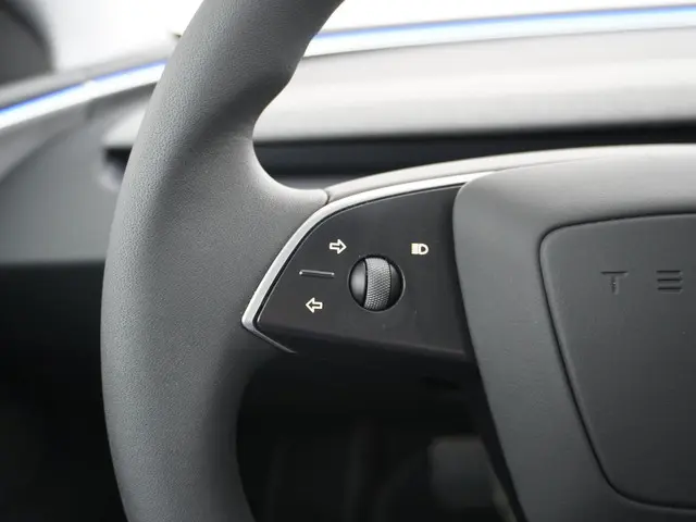 Tesla Model 3 Long Range AWD 78 kWh 2023 Elektrisch 28