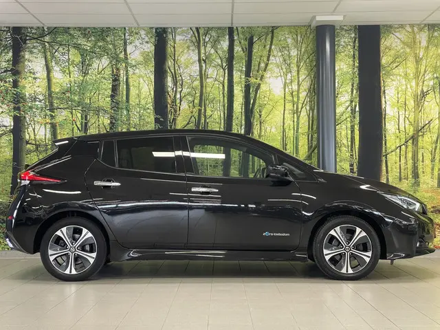 Nissan Leaf N-Connecta 40 kWh 2020 Elektrisch 4