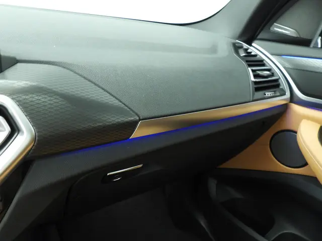 BMW X3 xDrive20i 2024 Benzine 33