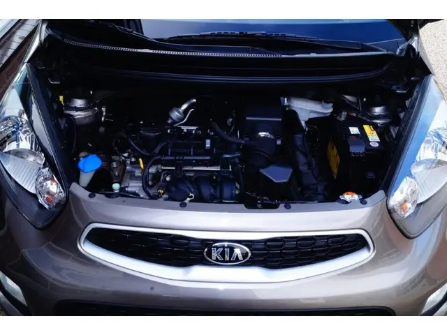 Kia Picanto 1.0 CVVT Airco 55000 km 2016 Benzine 14