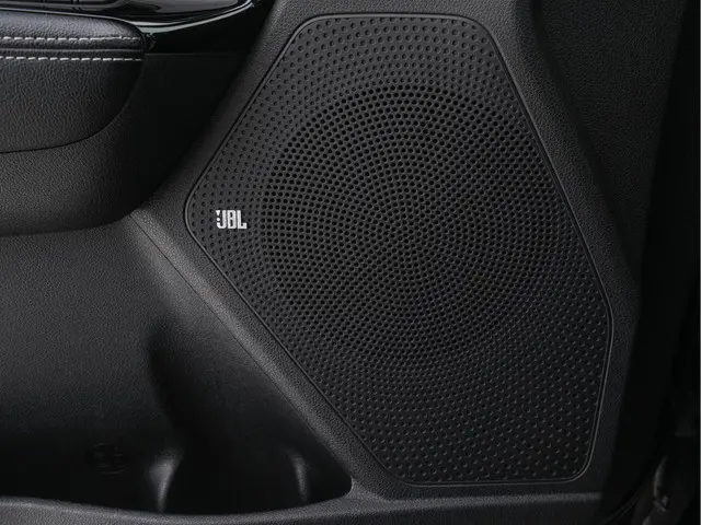 Kia e-Niro ExecutiveLine 64 kWh 2020 Elektrisch 22