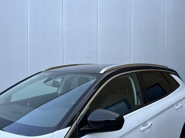 Opel Grandland X 1.6 Turbo Ultimate 2019 Benzine 9