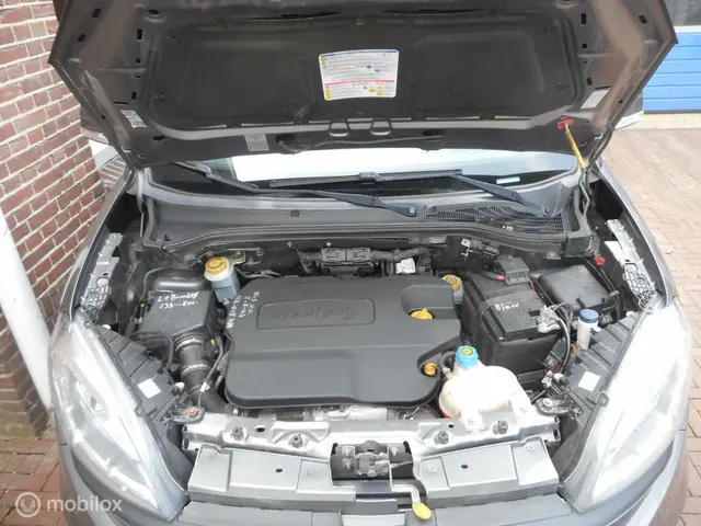 Fiat Doblò 1.6 MultiJet 16V 120 Trekking 2016 Diesel 19