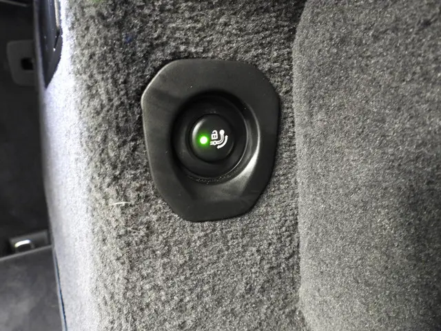BMW X6 xDrive 30d 2024 Diesel 41