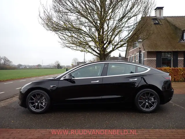 Tesla Model 3 SR+ 60KWH 2019 Elektrisch 6