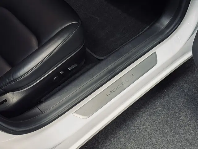 Tesla Model 3 Performance AWD 75 kWh 2019 Elektrisch 30