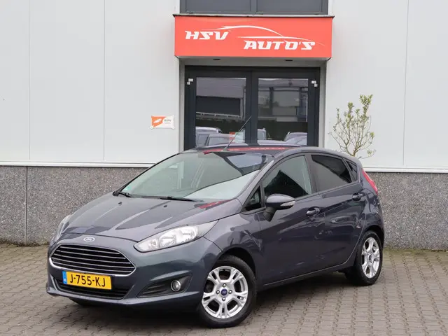 Ford Fiesta 1.0 Titanium airco LM 4-deurs 2014 Benzine