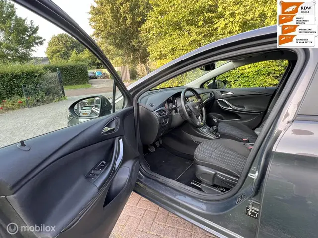 Opel Astra 1.0 Business+ 2015 Benzine 14