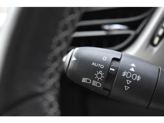 DS DS 3 PureTech 82 Business 2016 Benzine 17