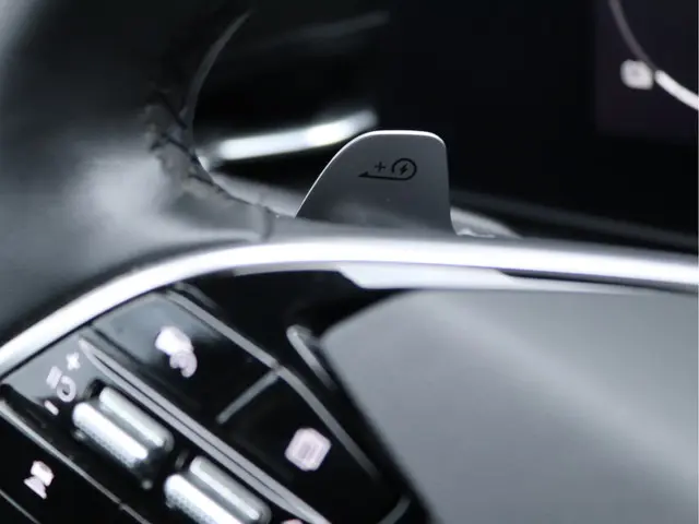 Kia Niro EV ExecutiveLine 64.8 kWh 2022 Elektrisch 41