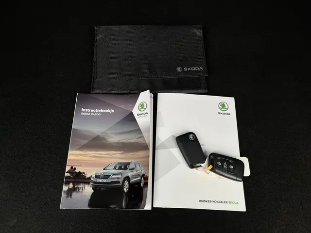 Škoda Karoq 1.0 TSI Business Edition 2021 Benzine 19