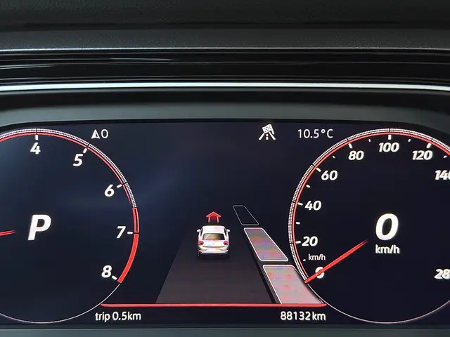 Volkswagen Polo 2.0 TSI GTI 2019 Benzine 11
