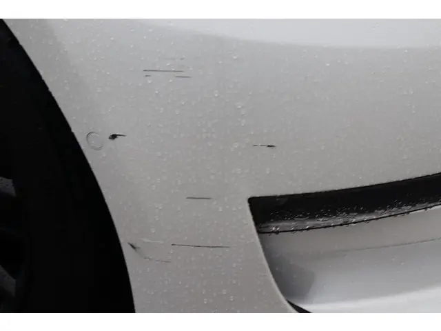 Tesla Model 3 Long Range AWD 75 kWh 2021 Elektrisch 14