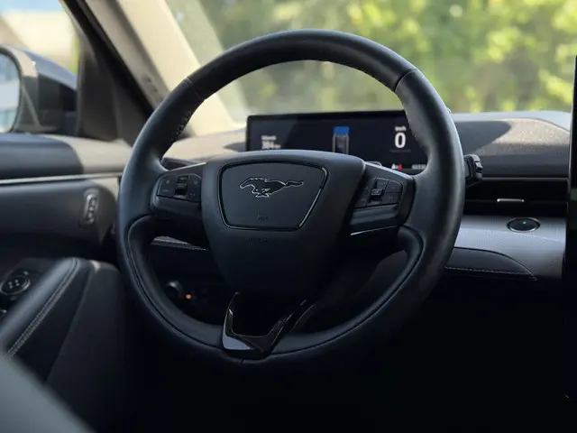 Ford Mustang Mach-E Aut. 75kWh 2021 Elektrisch 20