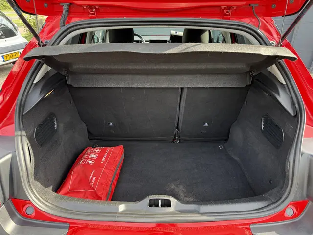 Citroën C4 Cactus 1.2 PureTech Shine 2016 Benzine 25