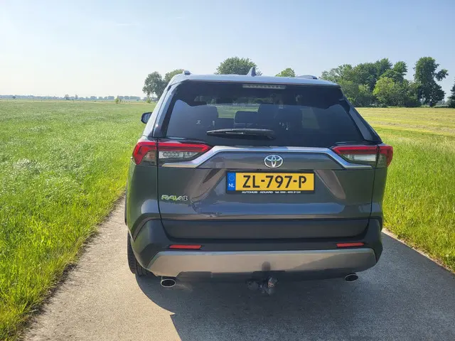 Toyota RAV4 2.0 VVT-iE Executive 2019 Benzine 37