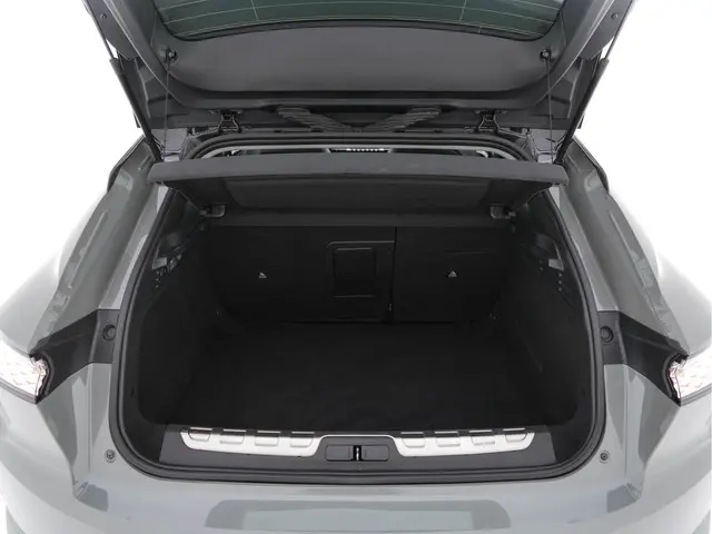 DS DS 4 1.6 PureTech Performance Line 2022 Benzine 10