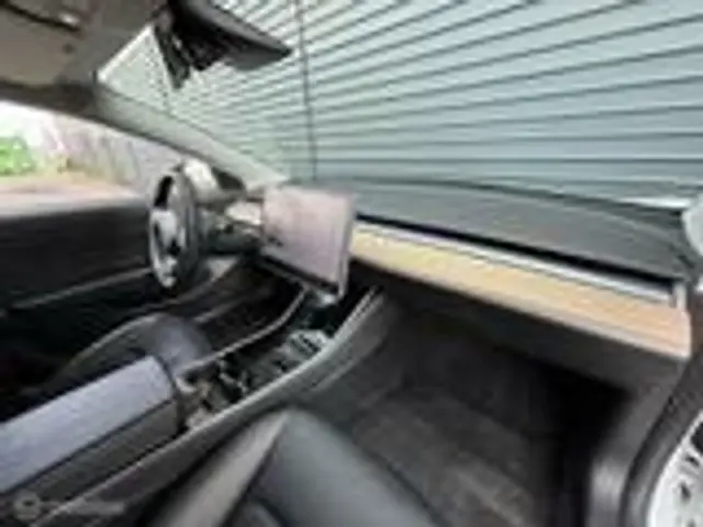Tesla Model 3 Standard RWD Plus 60 kWh 2019 Elektrisch 14