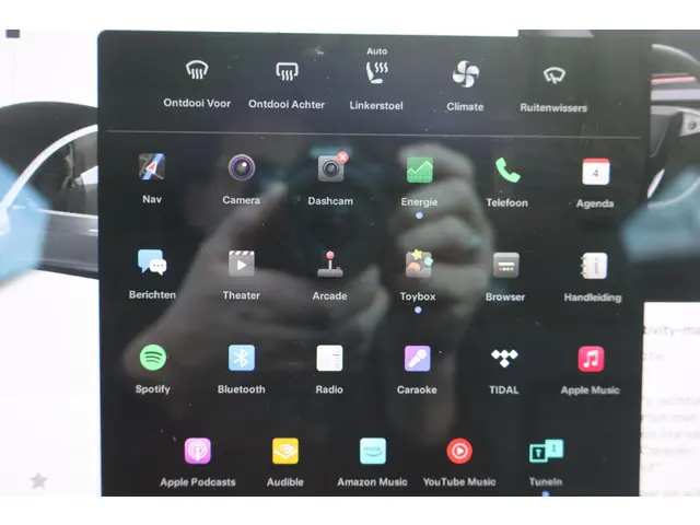 Tesla Model 3 Standard RWD Plus 60 kWh 2020 Elektrisch 40