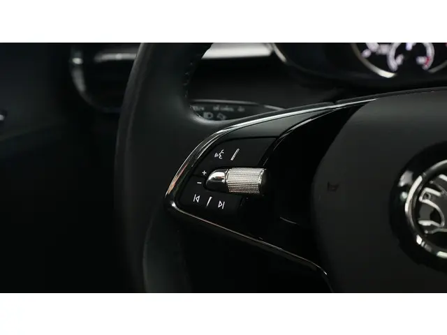 Škoda Fabia 1.0 MPI 80pk Ambition 2023 Benzine 21