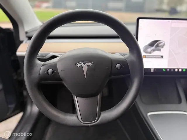 Tesla Model 3 Long Range AWD 75 kWh 2020 Elektrisch 19