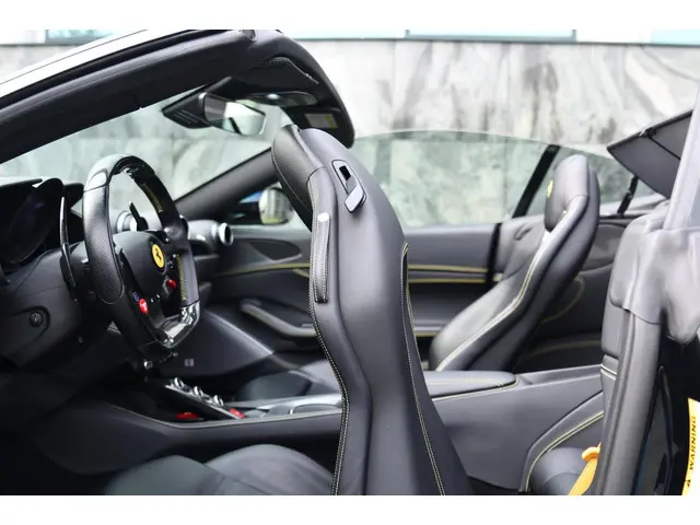 Ferrari Portofino V8 HELE 2019 Benzine 17