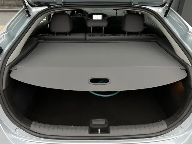 Hyundai IONIQ Comfort EV 2018 Elektrisch 35