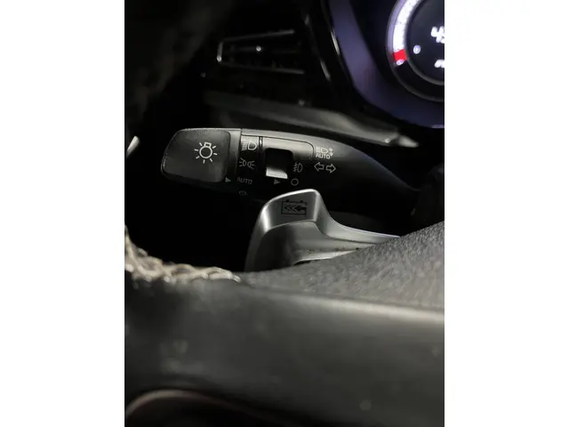 Kia e-Niro DynamicPlusLine 64 kWh 2021 Elektrisch 29