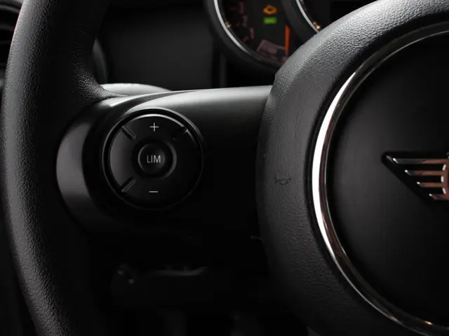 MINI One Mini 1.5 First Salt 2019 Benzine 15