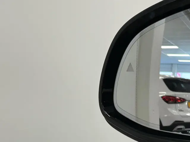 BMW X3 xDrive20i High Executive 2020 Benzine 44