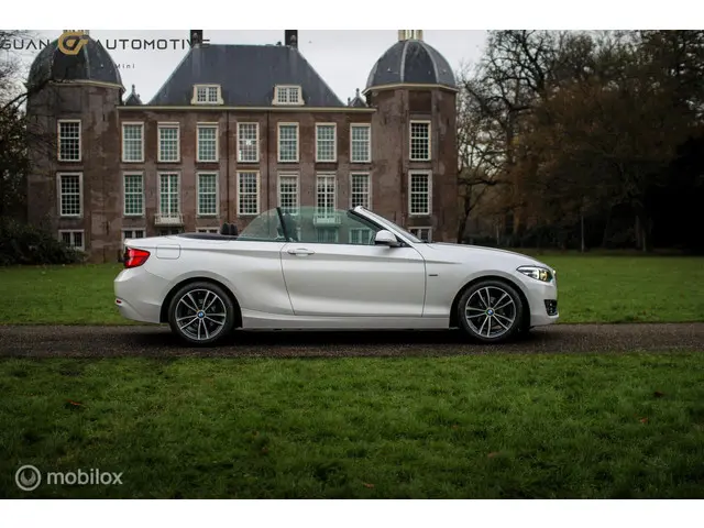 BMW 2 Serie Cabrio | 2018 Benzine 8